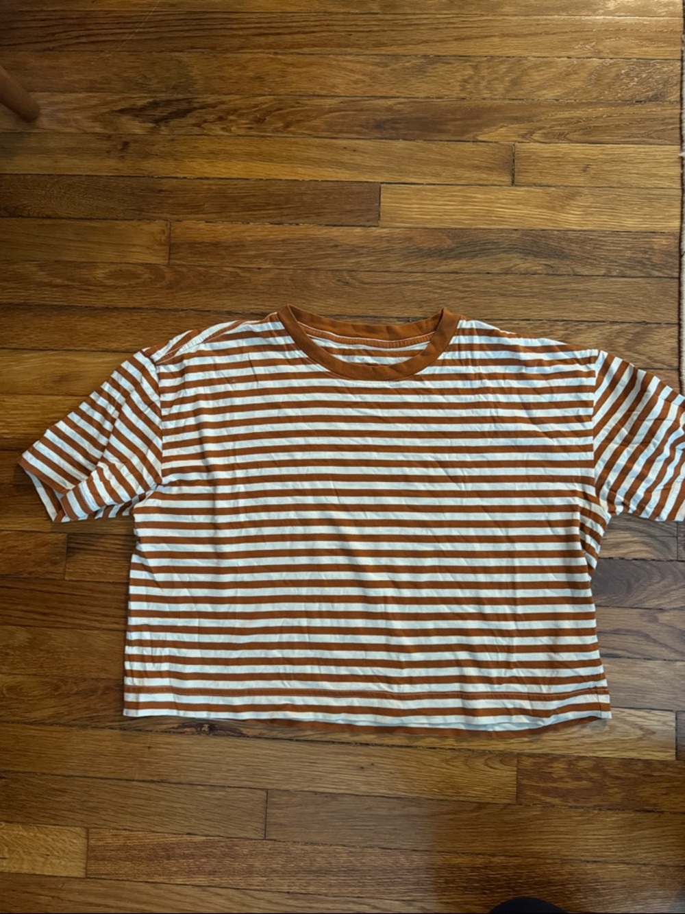 Everlane striped t shirt